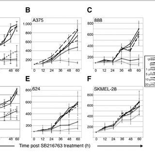 Gsk Inhibition Induces Apoptosis In Melanoma Cells Overall