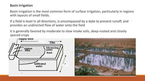 Chapter 4 Irrigation Methods Pptx Free Download