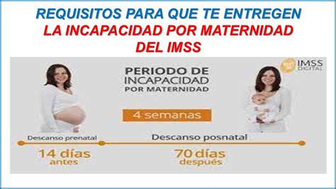 Incapacidad Por Maternidad 2024 Del IMSS Y Como Se Debe Calcular YouTube