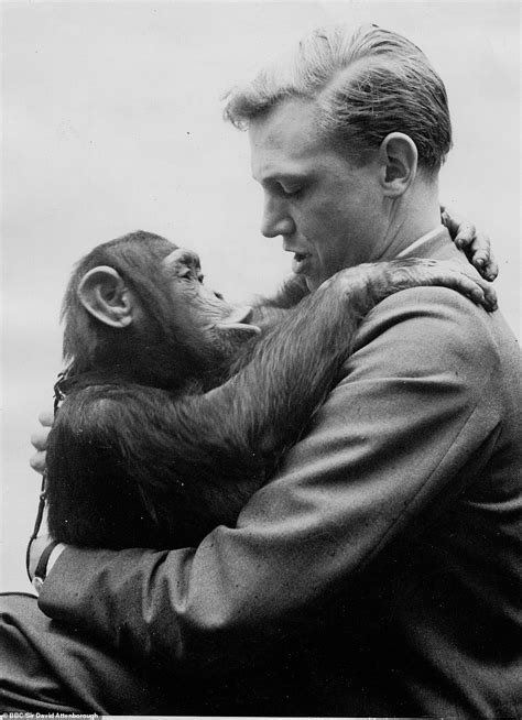 David Attenboroughs First Tv Appearance Came With 1954 Zoo Quest As