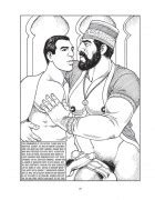 Gay Comics Art Collection Page