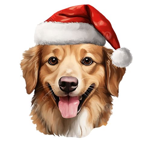 Christmas Day Real Dog Face Character Transparent Background Christmas