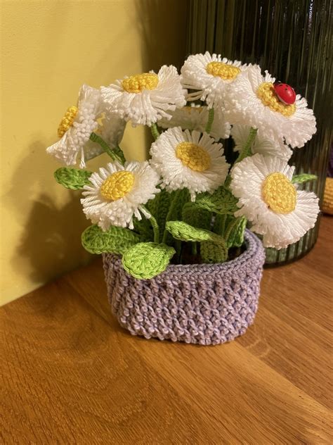 Handarbeiten Foto Häkel Deko Gänseblümchen für Tisch Tür und Wand