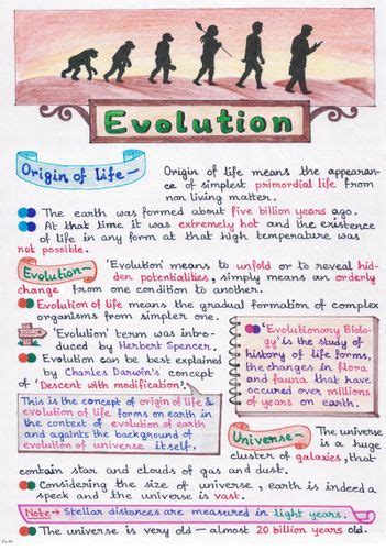 Biology Class 12 All Chapters Handwritten Notes Pdf For Neet Premium