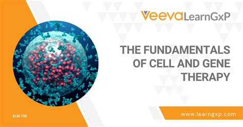 The Fundamentals of Cell and Gene Therapy - LearnGxP: Accredited Online Life Science Training ...