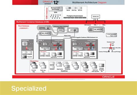 Oracle Database C Performance Management And Tuning Curs De