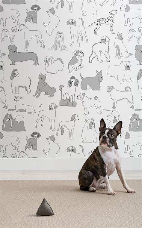 Dog Patterned Wall Coverings From Murals Wallpaper Dog Milk Dog