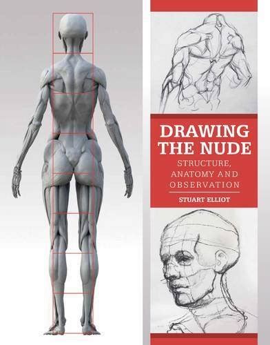 Drawing The Nude Structure Anatomy And Observation Peribo