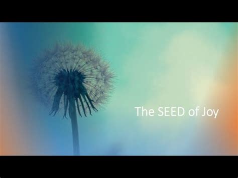 The Seed Of Joy Youtube