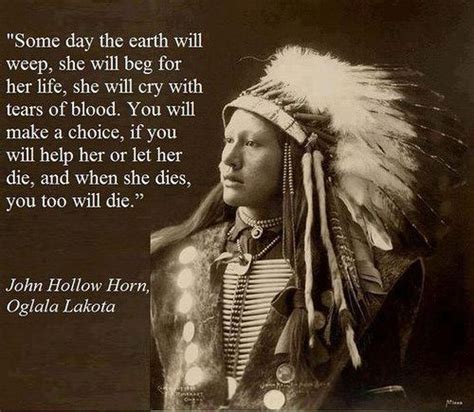 The Earth Begs To Live Native American Wisdom Native American