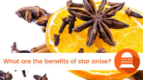 What Are The Benefits Of Star Anise Amazing Spice Food Milestone