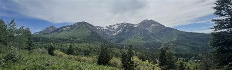 Pine Hollow Trail, Utah - 957 Reviews, Map | AllTrails