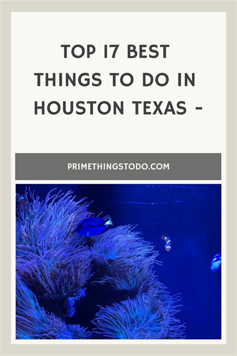 Top 17 Best Things To Do In Houston Texas In 2024 Things To Do