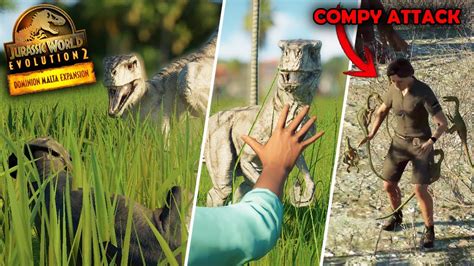 Brutal New Attack Animations Jurassic World Evolution 2 Malta Expansion Dlc Youtube