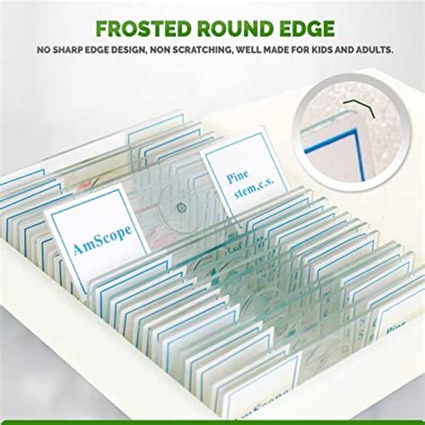 Amscope Ps25p Prepared Microscope Slide Set For Basic Biological