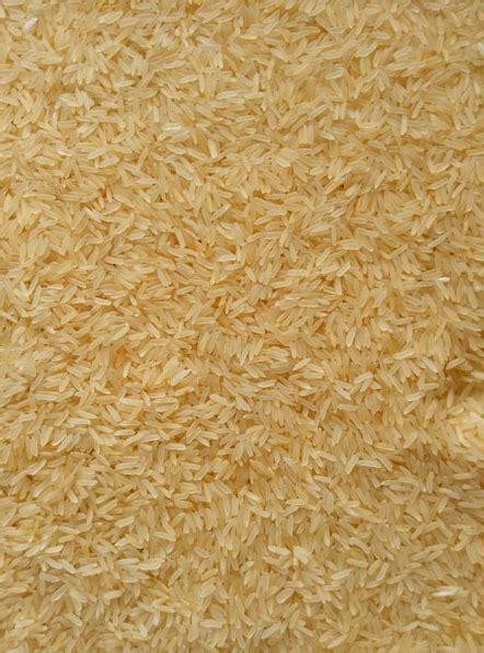 Sharbati Golden Sella Rice At Best Price In Budaun By Shriram Rice And