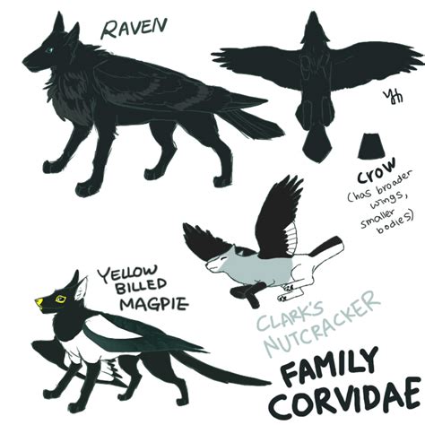 Family Corvidae by Veloie on DeviantArt