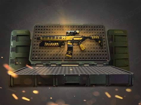 Buy Weapon Cases Farm Boost In Warzone Wowvendor