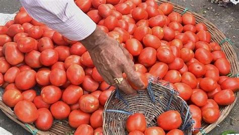 Tomato నా టమాటాలు పోయాయి సార్ పూణెలో పోలీస్ స్టేషన్లో మొదటి