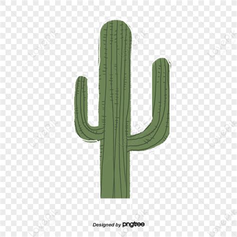 Elemento Cactus Planta Verde,espino,ilustración,espina PNG Imágenes Gratis - Lovepik