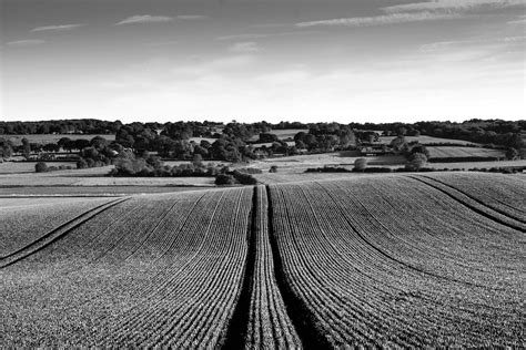 Rolling A Corn Field In Kent Joanna Parry Boult Flickr