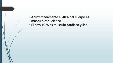 Contraccion Del Musculo Esqueletico Liso Y Cardiaco Pptx