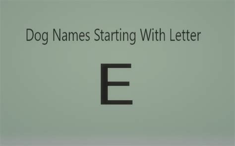 Extraordinary Dog Names Starting With Letter E” Both Male And Female Dogs