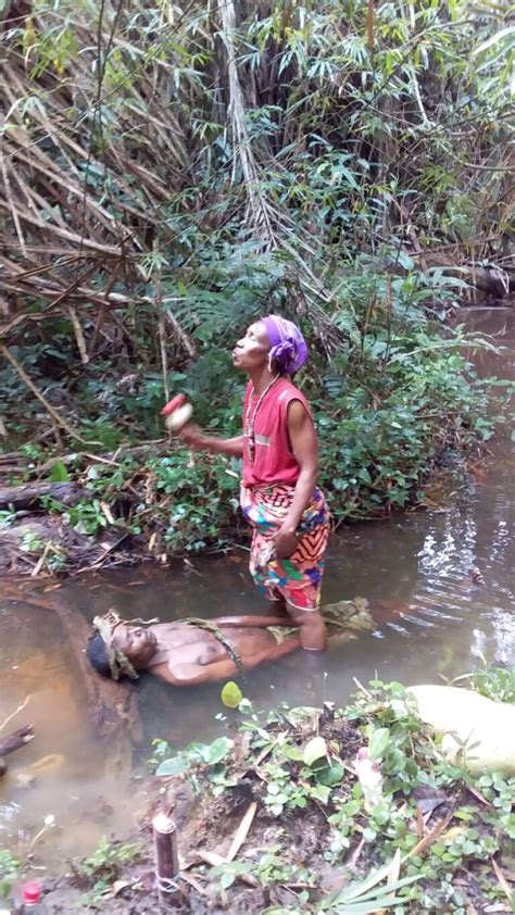 Traditional Bwiti Iboga Initiation Retreat Gabon Bwiti Roots