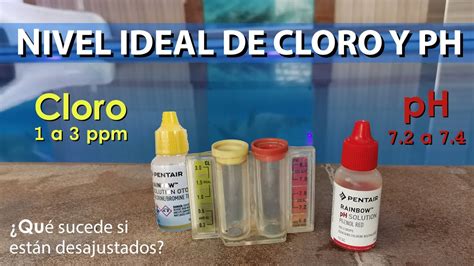 Nivel Ideal De Cloro Y Ph Por Qu Medirlos Qu Pasa Si Est N