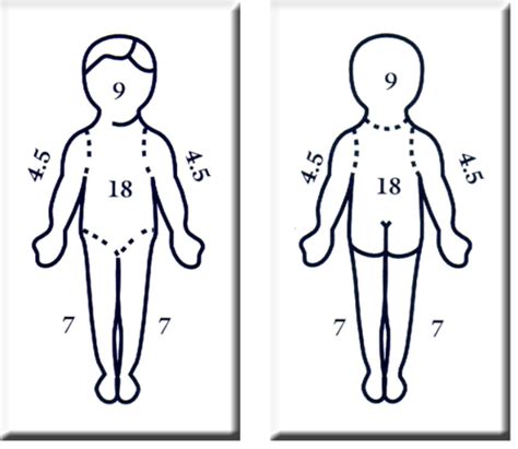 Medsurg Exam 3 Flashcards Quizlet