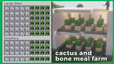 The Best Bone Meal And Cactus Farm Minecraft Tutorial Youtube