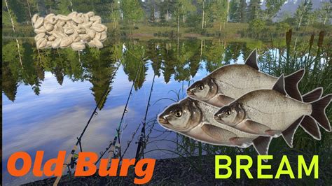 Russian Fishing Rf Spot Old Burg Lake Bream Brasse Leszcz