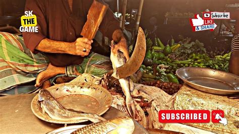 Rare Giant Ayer Fish Cutting In Bangladesh Fish Cutting In