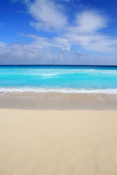 Mar Del Caribe Vertical Tropical De La Turquesa De La Playa Imagen De