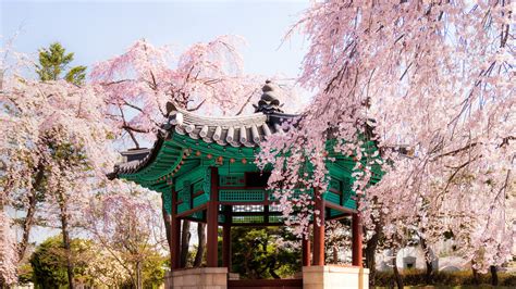 A Local’s Guide to Seoul, South Korea | Condé Nast Traveler