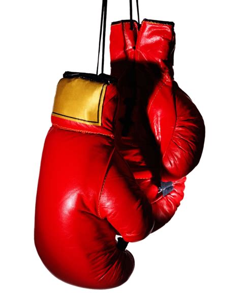 Boxing glove Clip art - boxing gloves png download - 8000*5122 - Free Transparent Boxing Glove ...