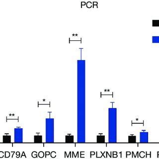 QRT PCR Confirmation QRT PCR Was Used To Evaluate The MRNA Expression