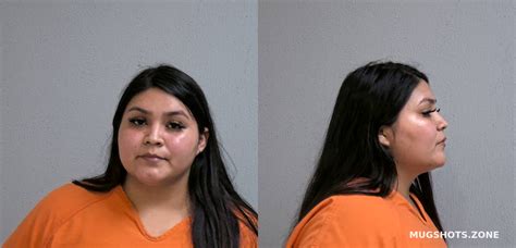 VARGAS DANNA LIZBETH 06 24 2023 Hidalgo County Mugshots Zone