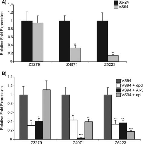 Transcriptional Profiles Of Fimbrial Gene Expression For Wt Ehec And An