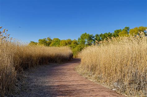 Clark County Wetlands Park In Las Vegas The Largest Park In Clark