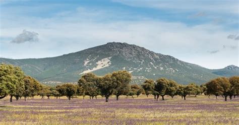 Cinco Rincones De Los Montes De Toledo Para Perderse Esta Semana Santa