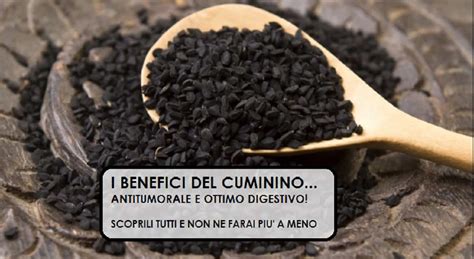 Cumino Nero I Benefici Di Questa Spezia Digestiva E Rilassante