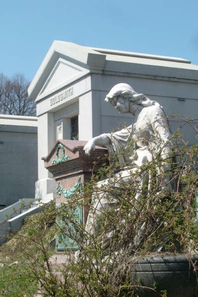 Prospect A Year In The Park The Flowering Of Salem Fields