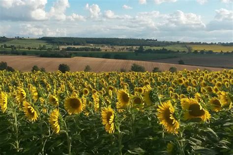 Palmarès ces villages du Lauragais sont parmi ceux où l on vit le