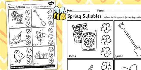 Spring Syllables Activity Worksheet Teacher Made Twinkl