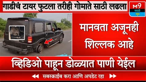 गाडीच टायर फुटला तरीही गोमाते साठी लढला । M9 Marathi News Youtube