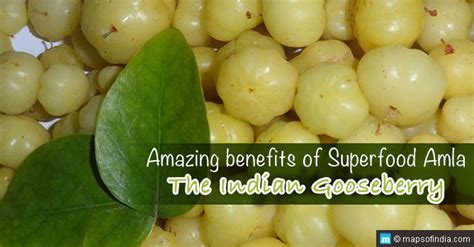 What Are The Health Benefits Of Indian Gooseberry - Bios Pics