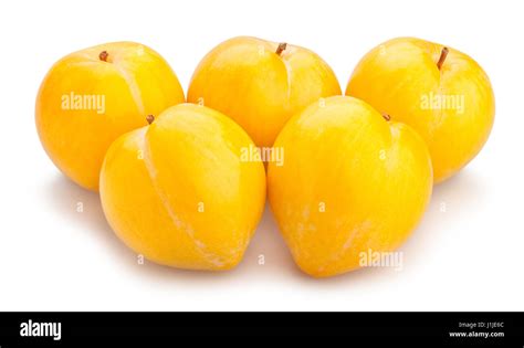 yellow plum isolated Stock Photo - Alamy