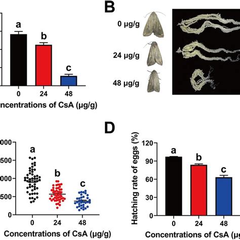 Effects Of Csa On Mating A Body Size And Ovary B Fecundity C Download Scientific