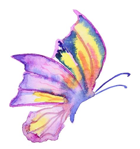 Abstract Watercolor hand drawn butterfly — Stock Photo © ivofet #108266132